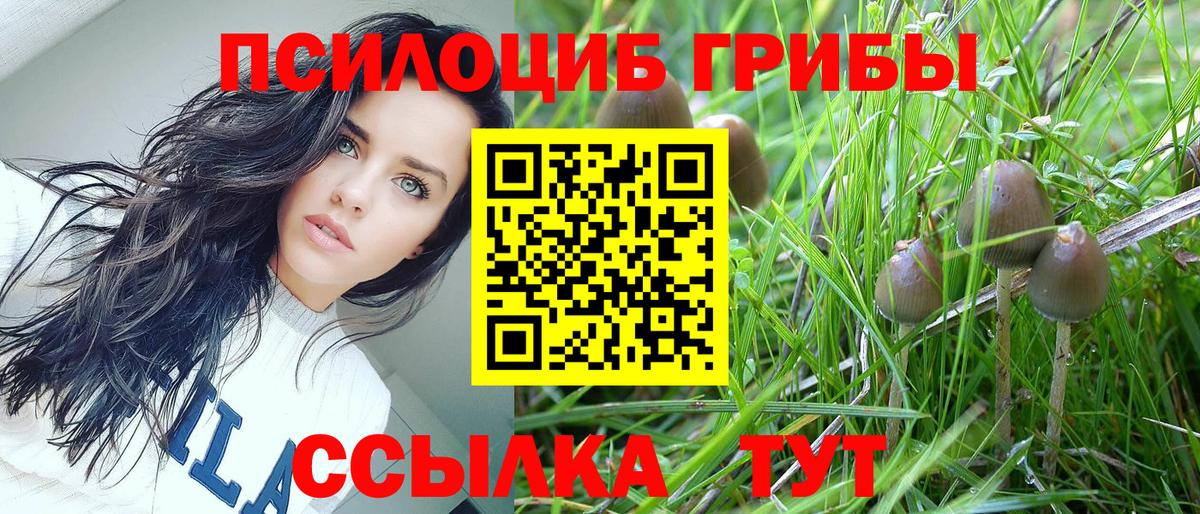 Галлюциногенные грибы ЛСД Рязань